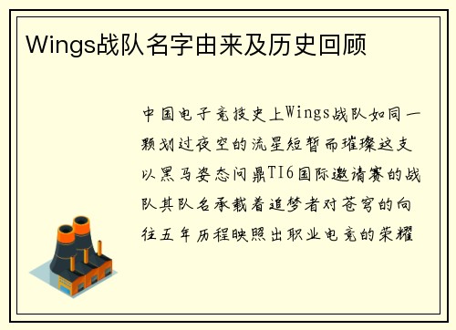 Wings战队名字由来及历史回顾